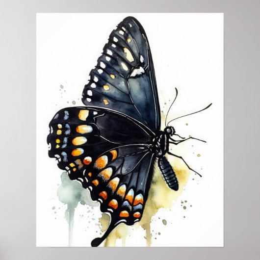 Zwart Swallowtail Butterfly Art Print Poster (Voorkant)