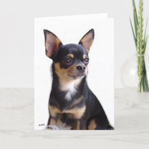 Zwart & Tan Chihuahua kaart