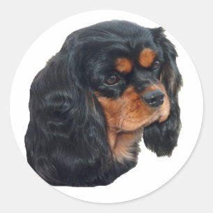 Zwart & Tan Ronde Sticker