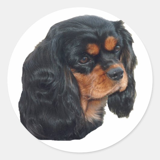 Zwart & Tan Ronde Sticker (Voorkant)