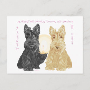 Zwart & Tarwegoednacht Scotties Briefkaart