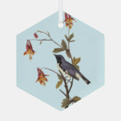 Zwart-Throated Blue Warbler Audubon Bird Lover Glas Ornament (Achterkant)