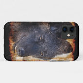 Zwart Timber Wolf Portrait iPhone 5 Hoesje (Achterkant (horizontaal))