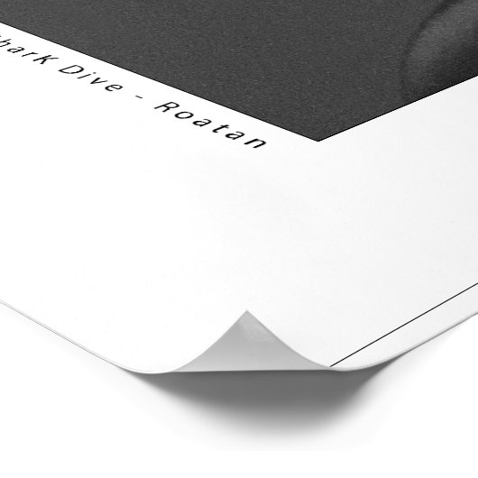 Zwart Tip Ref Shark Poster (Hoek)