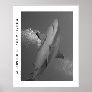 Zwart Tip Ref Shark Poster