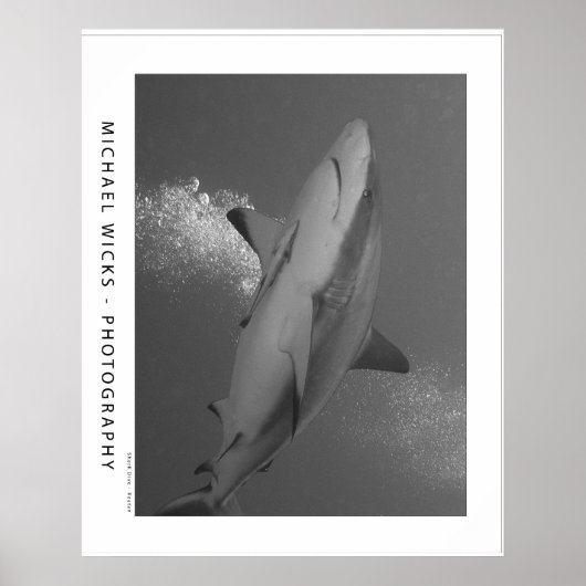 Zwart Tip Ref Shark Poster (Voorkant)