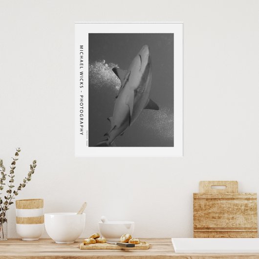 Zwart Tip Ref Shark Poster (Keuken)