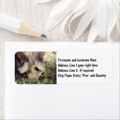 Zwart varken wortelen in gras etiket (Insitu)