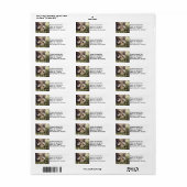 Zwart varken wortelen in gras etiket (Full Sheet)