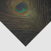 Zwart Victoriaans Wallpapier en pacock Tissuepapier (Detail)