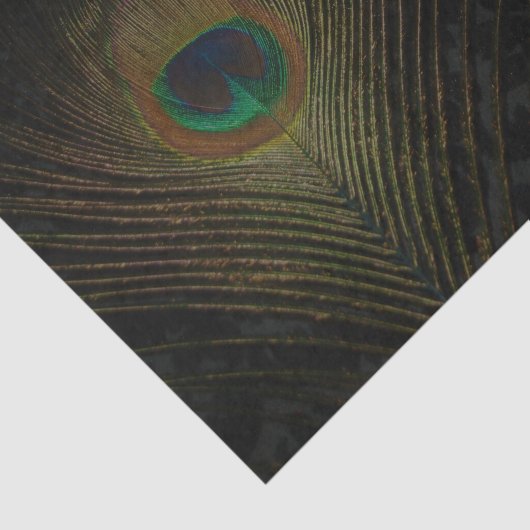 Zwart Victoriaans Wallpapier en pacock Tissuepapier (Detail)