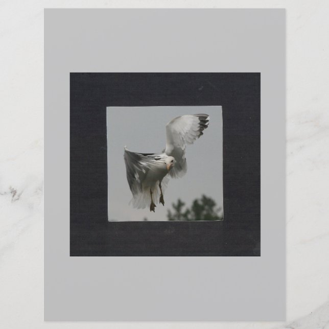 Zwart vierkant op grijs foto-Lijst (Voorkant)