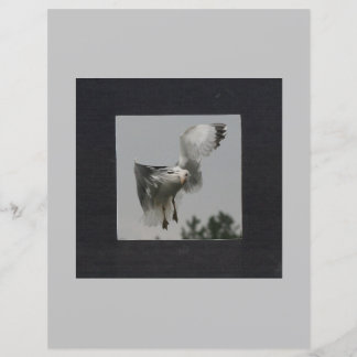 Zwart vierkant op grijs foto-Lijst