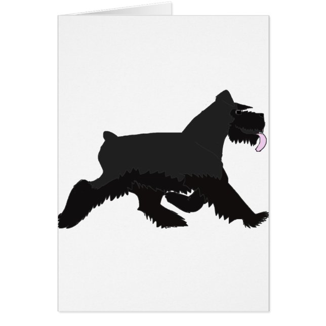 zwart_wandelen (Voorkant)