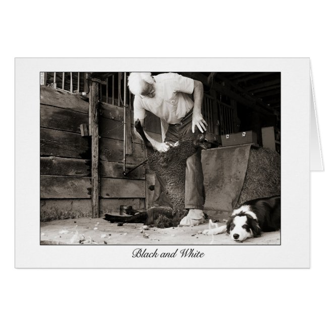 zwart-wit (Voorkant Horizontaal)