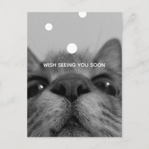 Zwart-wit 17-yro kat leeg Briefkaart