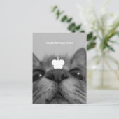 Zwart-wit 17-yro kat leeg Briefkaart (Staand voorkant)