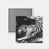 Zwart & Wit Aanvallende Tijger Magneet (Voorkant / Achterkant)