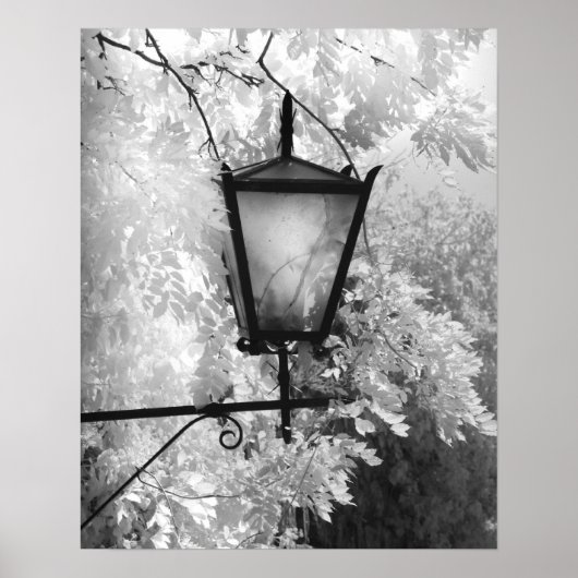 Zwart-wit aanzicht van lichtarmatuur poster (Voorkant)