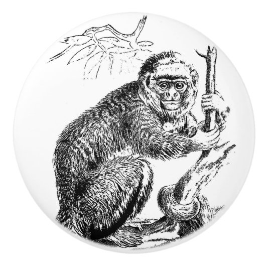  zwart wit aap home decor knop (Voorkant)