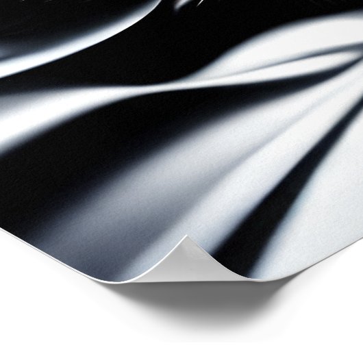 Zwart & Wit Abstract Roos Poster (Hoek)