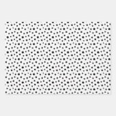 Zwart-wit abstracte lijnen en stippen inpakpapier vel (Voorkant 2)