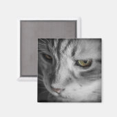 Zwart-wit afbeelding van kat magneet (Voorkant / Achterkant)