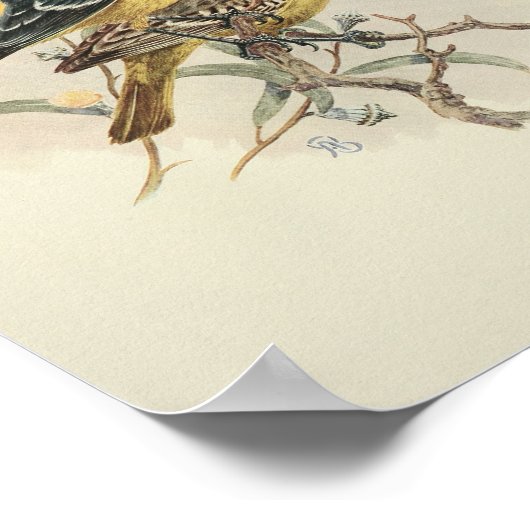  zwart-wit afdrukken poster (Hoek)