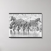 Zwart wit afrikaans Zebra groepering verpakt canva Canvas Afdruk (Voorkant)
