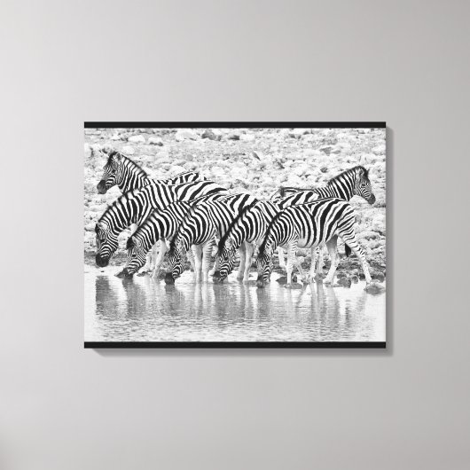 Zwart wit afrikaans Zebra groepering verpakt canva Canvas Afdruk (Voorkant)