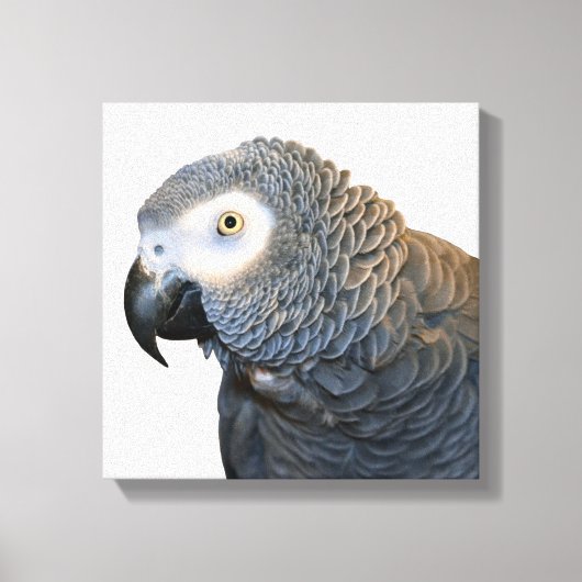 Zwart-wit Afrikaanse grijze papegaai Canvas Print (Voorkant)