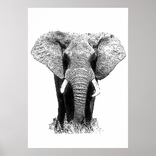 Zwart & Wit Aziatisch Olifant Pop Kunst Poster (Voorkant)