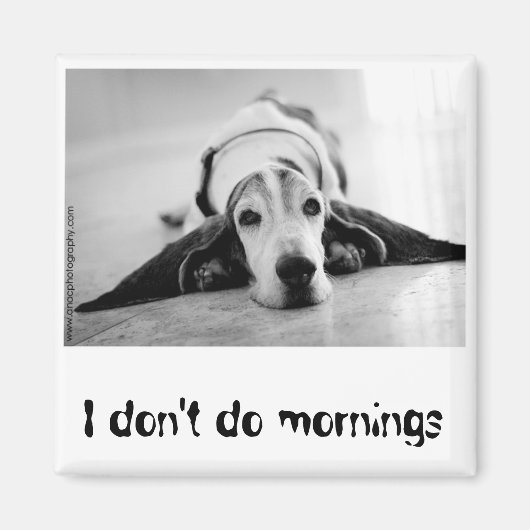 Zwart-wit Basset Hound Magnet (Voorkant)