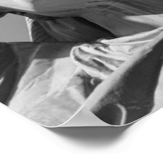 Zwart wit beeld van vrijheid dicht foto poster (Hoek)