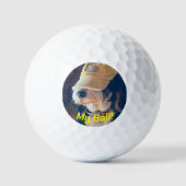 Zwart-wit Bernedoodle hond in geel golf pet. Golfballen (Voorkant)