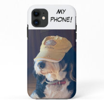Zwart-wit Bernedoodle w / geel pet "Mijn telefoon"