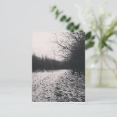 Zwart-wit, bevroren briefkaart (Staand voorkant)
