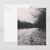 Zwart-wit, bevroren briefkaart (Voorkant / Achterkant)