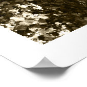 Zwart-wit Big Tree Los Angeles Griffith Park Poster (Hoek)