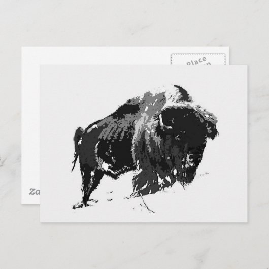 Zwart-wit Bison/buffalo Briefkaart (Voorkant / Achterkant)