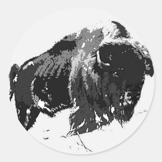 Zwart-wit Bison/buffalo Ronde Sticker (Voorkant)
