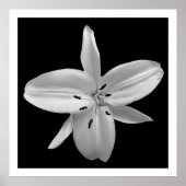 Zwart-Wit Bloem Fotografie Poster (Voorkant)