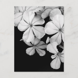 Zwart-wit bloemen briefkaart