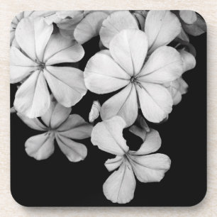 Zwart-wit bloemen close-up bier onderzetter