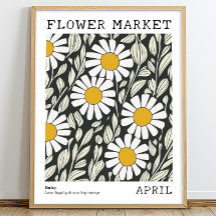 Zwart Wit Bloemen Daisy April Geboorte Bloemen Mar