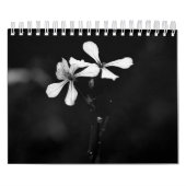 Zwart-wit bloemen fotografie kalender (Hoes)