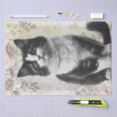 Zwart-wit Bloemen Kat Kitten Tissuepapier (Craft)