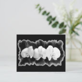 Zwart Wit bloemenschilderij orchideeën Briefkaart (Staand voorkant)