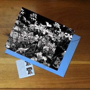 Zwart-wit Bloemfoto Lente Bloemen Briefkaart