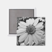 Zwart & Wit Bloemmagneet Magneet (Voorkant / Achterkant)